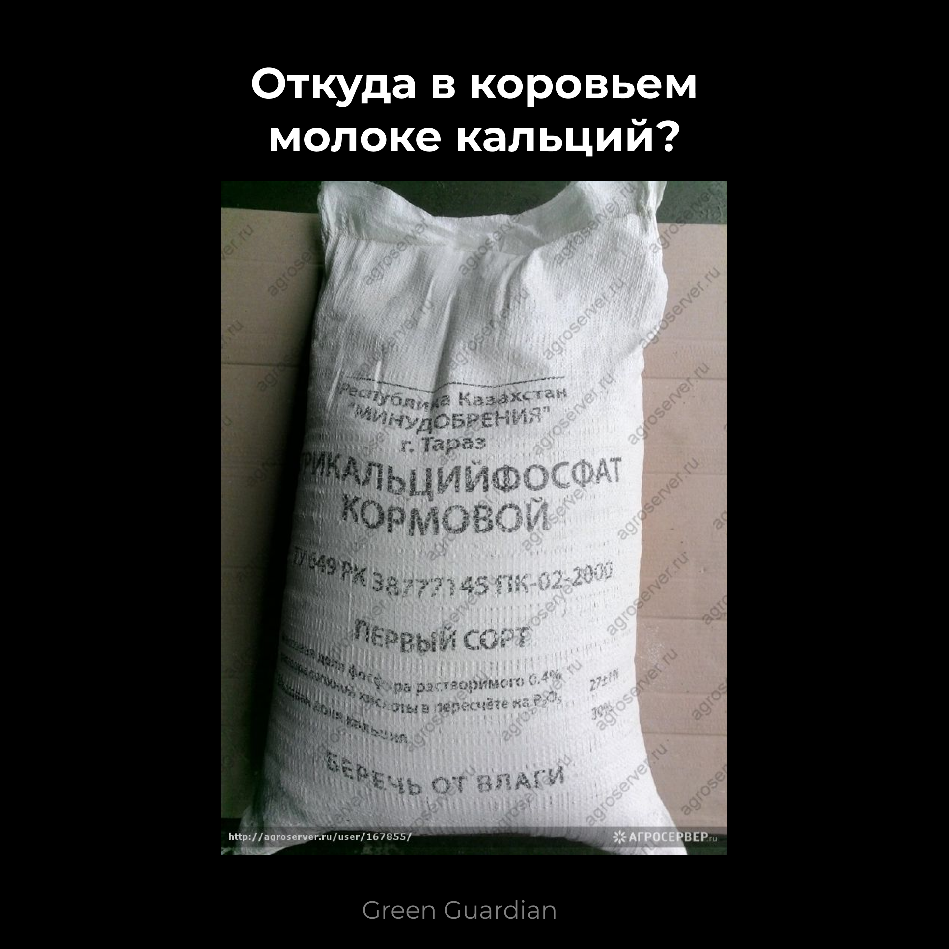 Откуда молоко. Кальций в коровьем молоке. Где взять кальций. Откуда взять кальций. Кальций и фосфор в коровьем молоке.