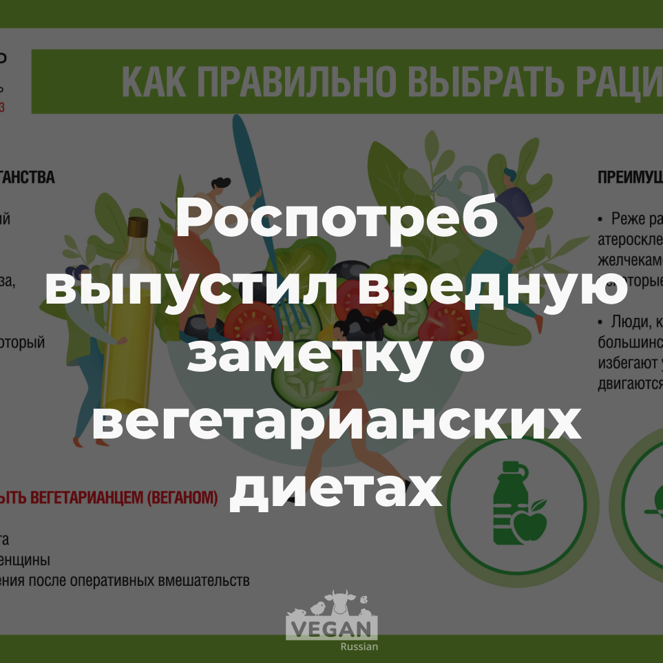 Роспотребнадзор рассказал о рисках и преимуществах вегетарианства — что тут не  так