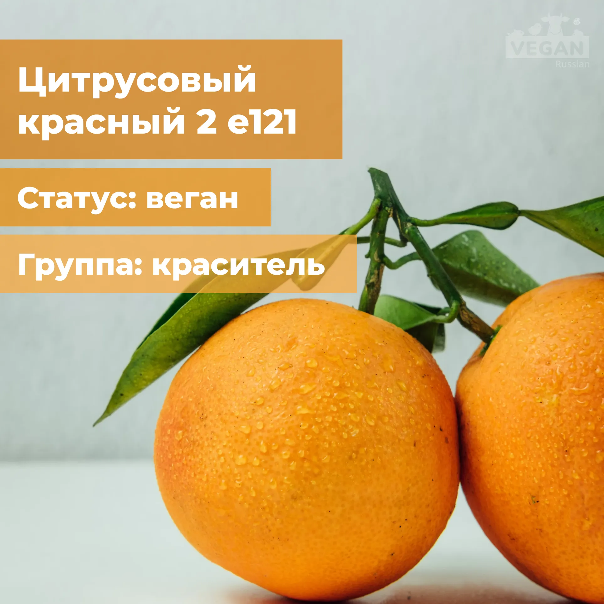 Citrus красная ул 1 фото