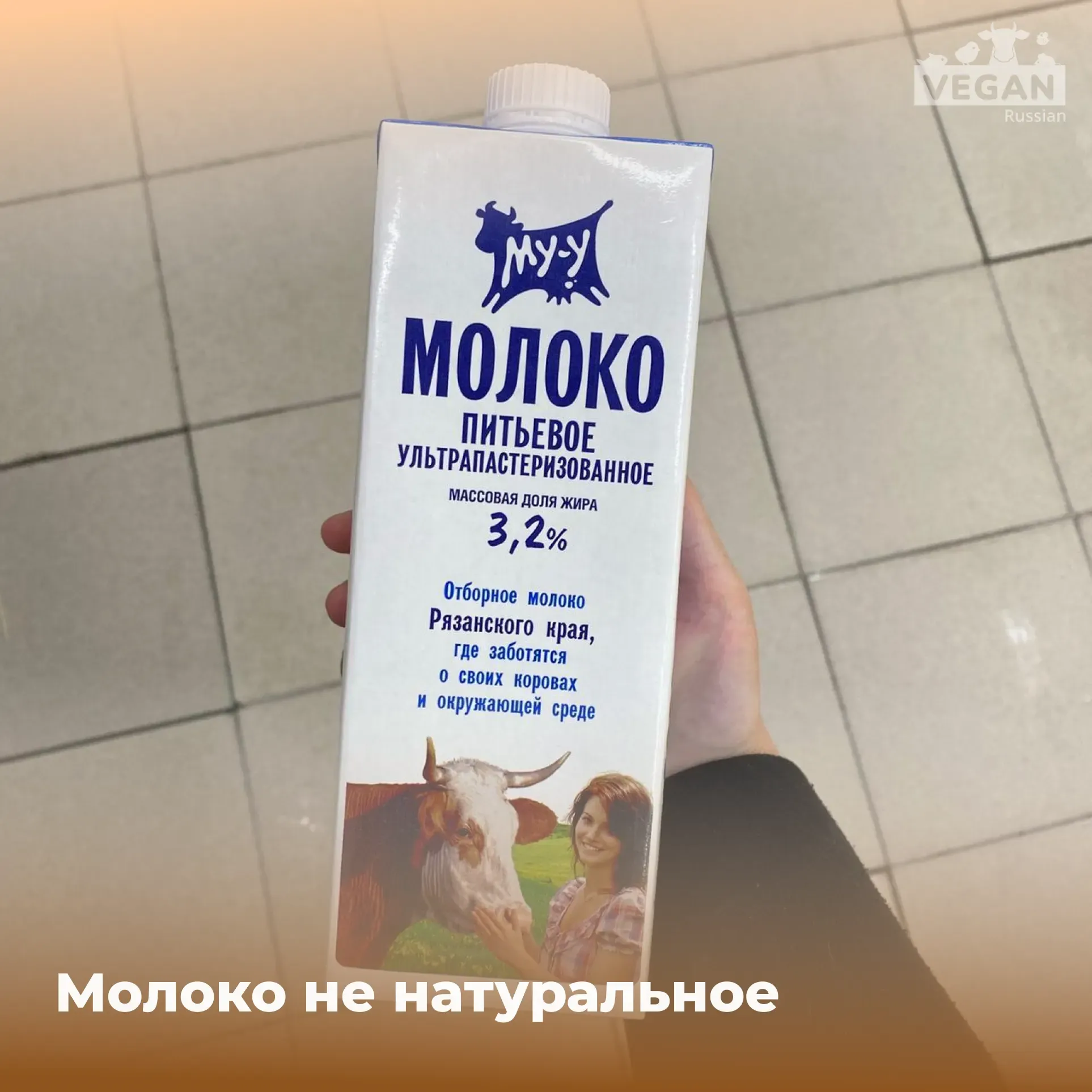 Почему коровье молоко не натуральное