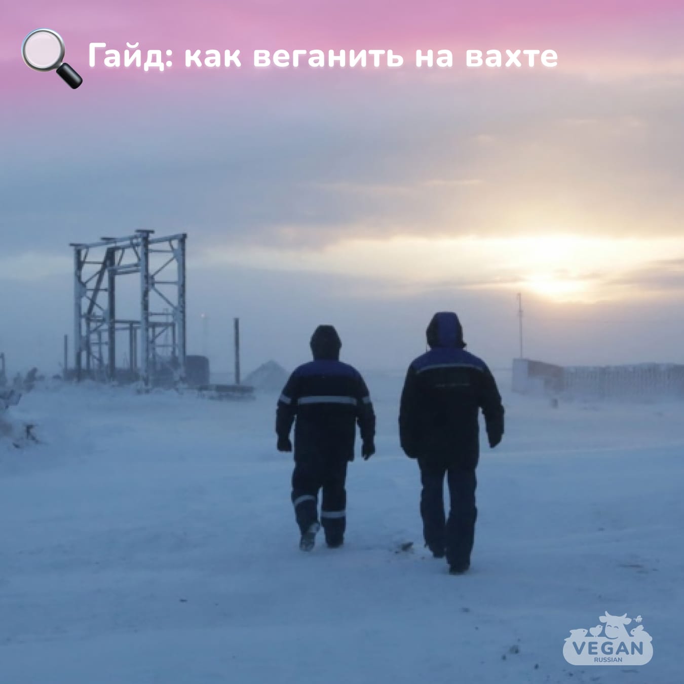 Гайд: Как веганить на вахте?