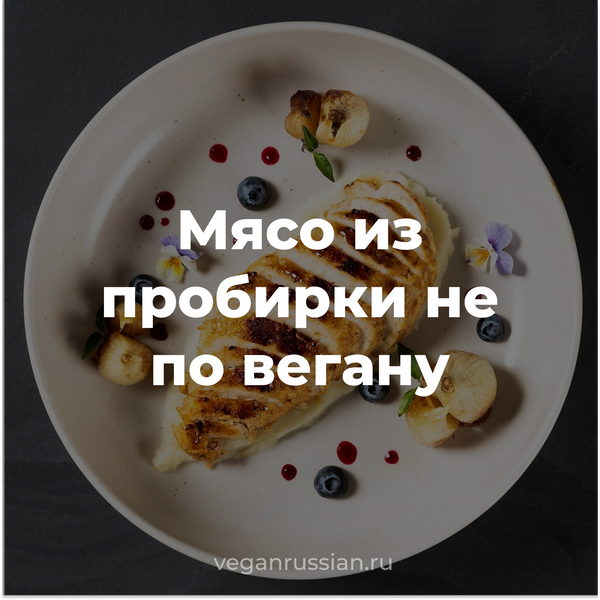 Мясо из пробирки не по вегану