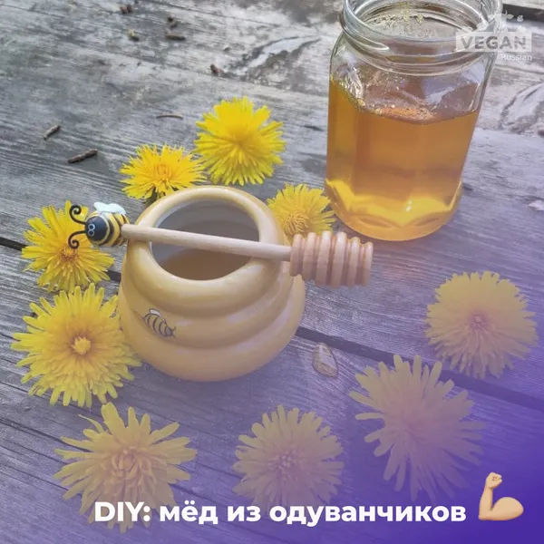 DIY: веганский мёд из одуванчиков