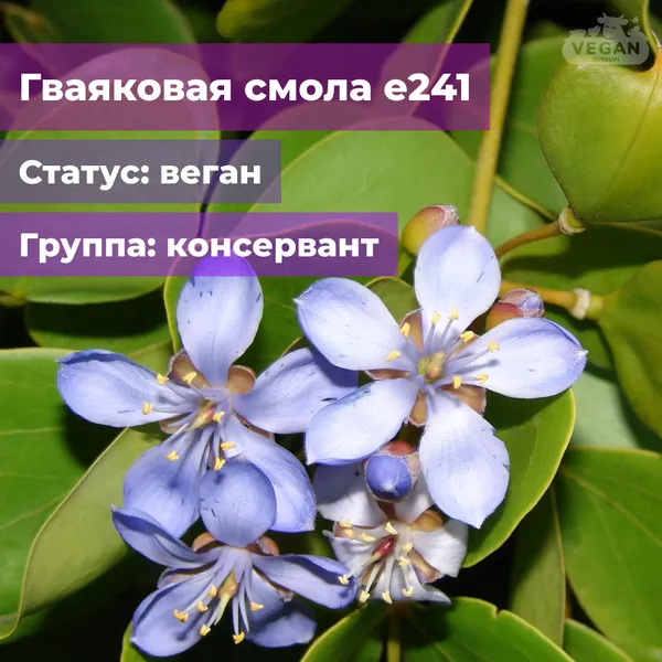 Гваяковая смола е241