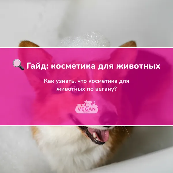 Гайд: косметика для животных